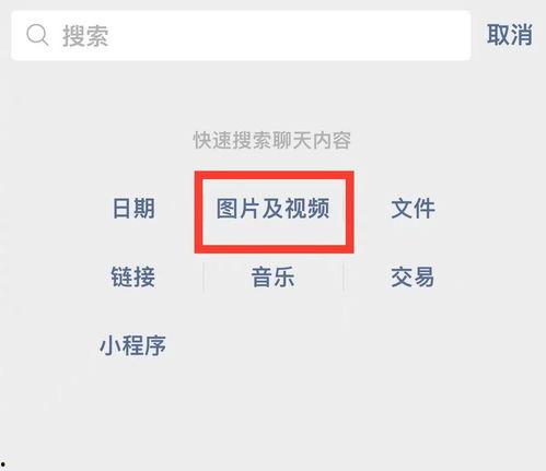 新春爆料最新消息视频播放,新春爆料！最新消息视频播放精彩内容抢先看