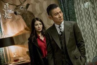 追龙在线观看,传奇归来,在线重温巅峰之战 第1张 追龙在线观看,传奇归来,在线重温巅峰之战 第1张