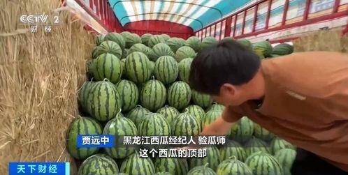 娱乐吃瓜蜀黍海苔咪,揭秘娱乐圈幕后故事 第2张 娱乐吃瓜蜀黍海苔咪,揭秘娱乐圈幕后故事 第2张